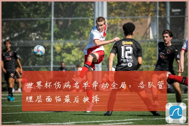 世界杯伤病名单牵动全局，各队管理层面临最后抉择