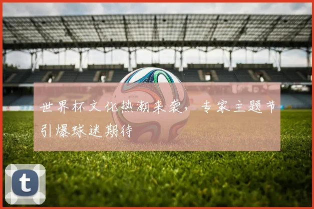 世界杯文化热潮来袭，专家主题节引爆球迷期待